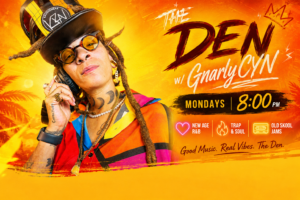 dj gnarly cyn
